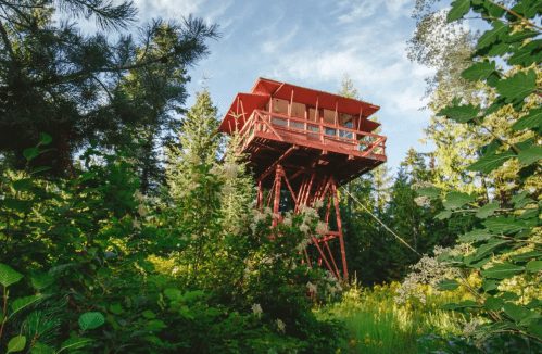 A red observation tower stands among lush green trees and wildflowers under a blue sky.